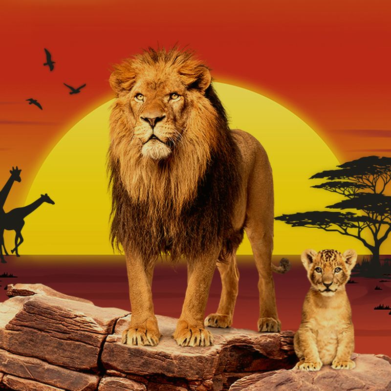 Der König der Löwen - COFO Entertainment