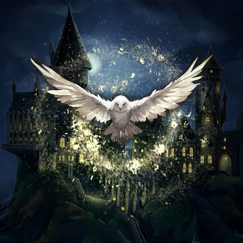Hogwarts Magic Symphony - Artconcert